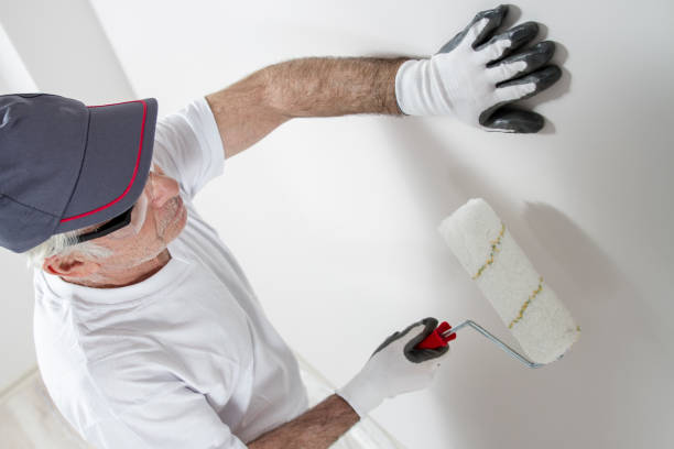 Best Basement Mold Removal  in Albany, LA