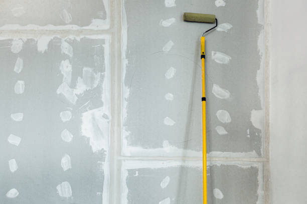Best Mold Prevention Services  in Albany, LA