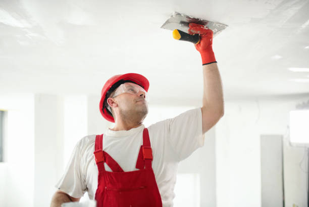 Trusted Albany, LA Mold Removal Experts