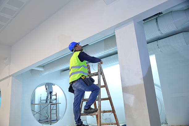 Best Real Estate Mold Inspection  in Albany, LA